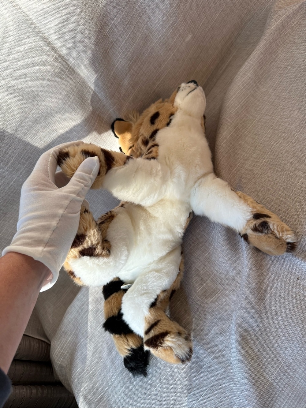 2017 SOS Save Our Space Serval Plush Rare Discounted – Collectible Big Cat - Picture 3 of 16
